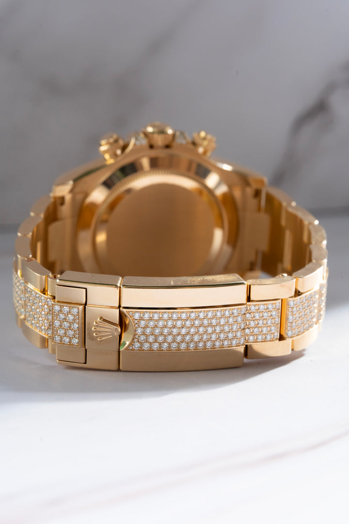 ROLEX EYE OF THE TIGER