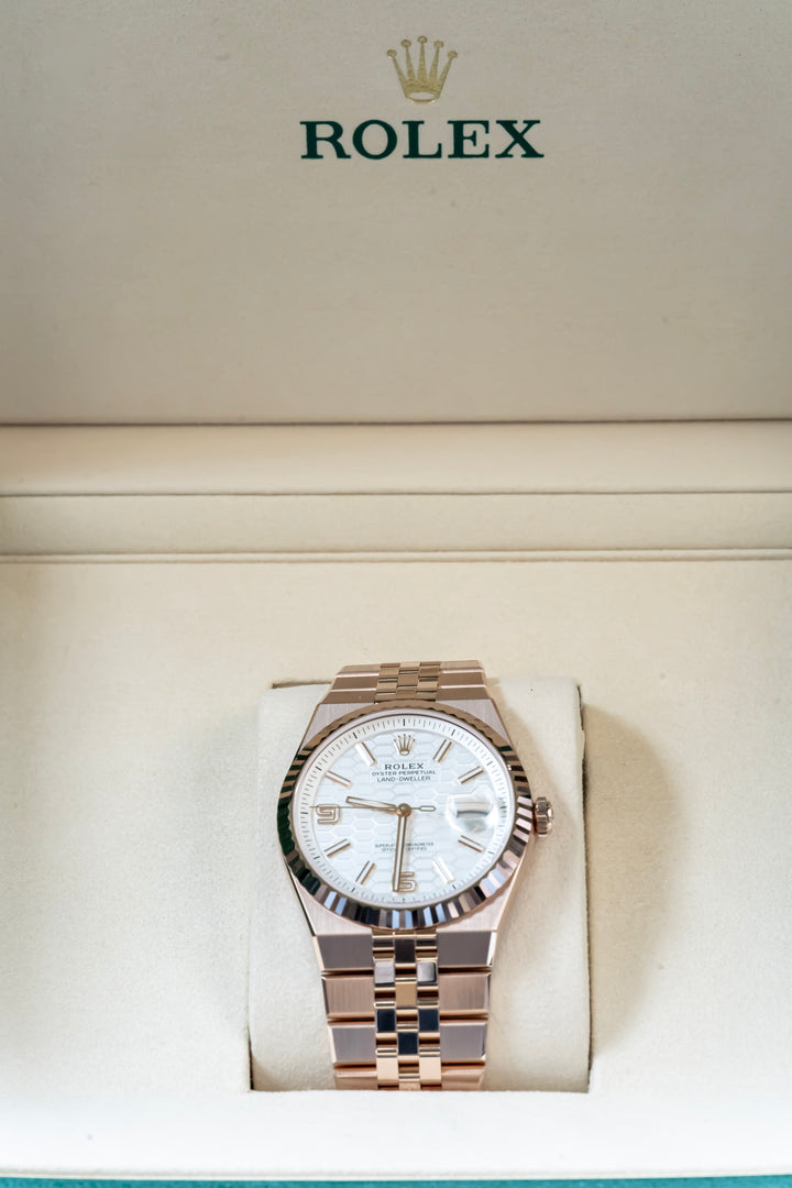 ROLEX 127335 ROSE GOLD LAND DWELLER 2025 NEW